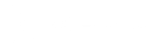 Arrow left x