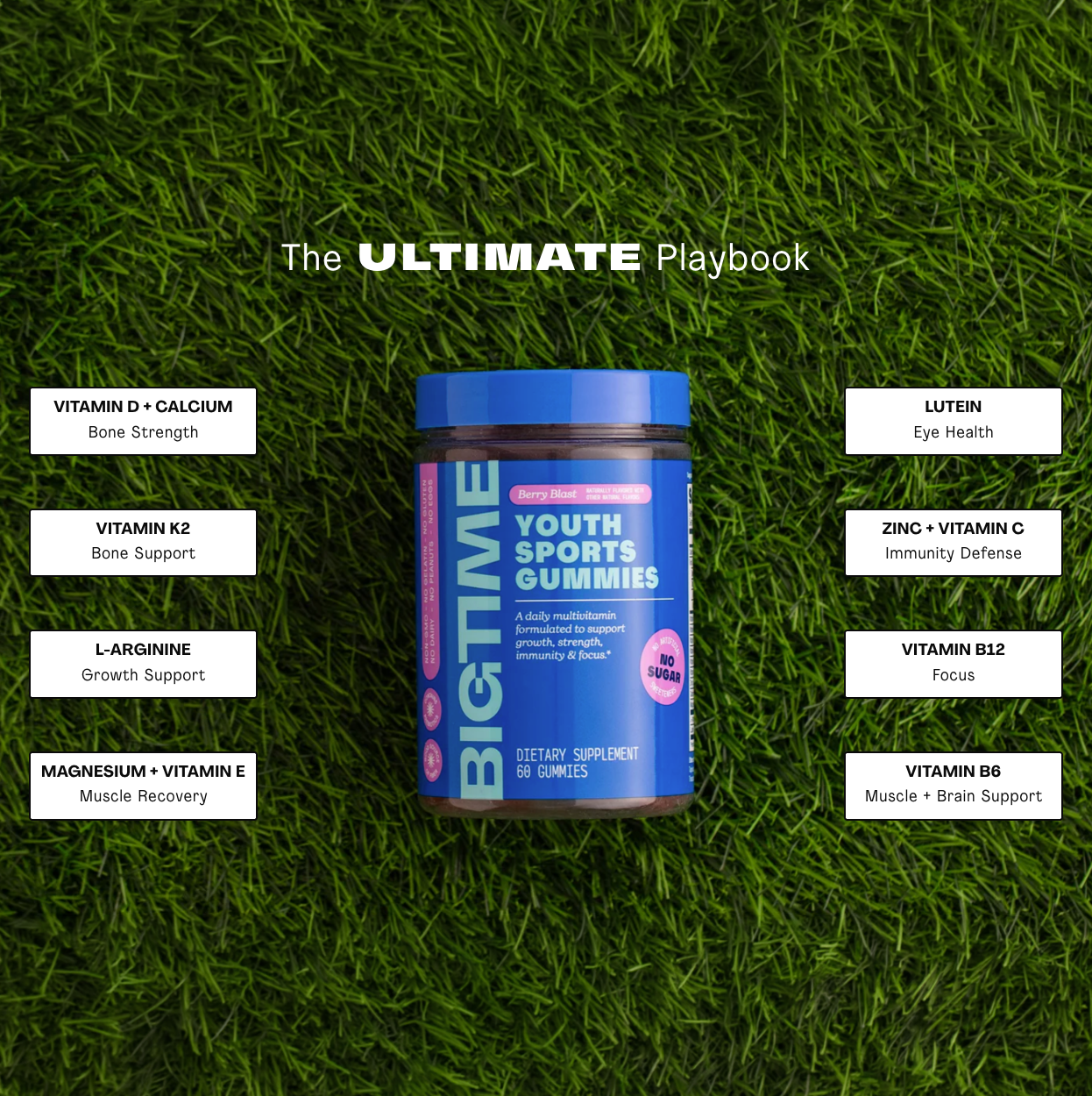 the ultimate playbook - Bigtime ingredients